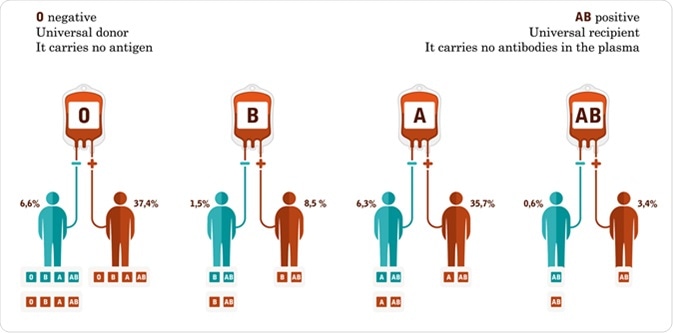 Compatibility chart of blood type. Image Credit: logika600 / Shutterstock