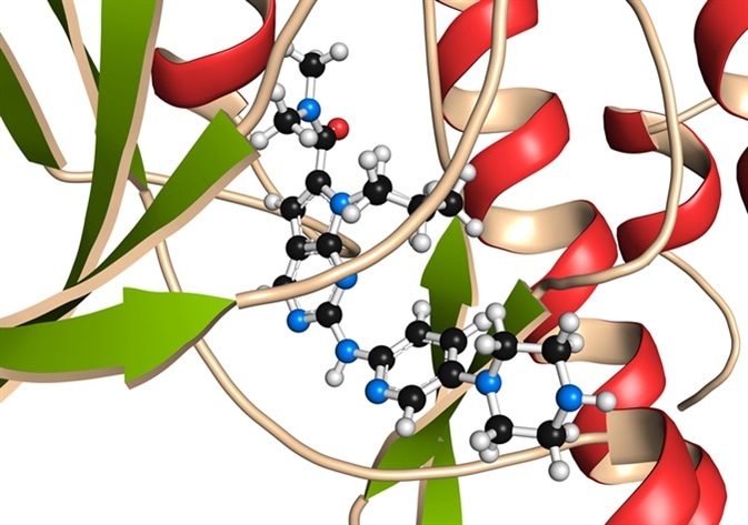 Cyclin-dependent kinase 6 (CDK6) bound to the inhibitor ribociclib (detail view). Enzyme involved in cell cycle regulation and target of several antitumoral drugs. 3D rendering. Image Credit: Molekuul_be / Shutterstock