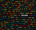 CRISPR Cas12a3: A precise tool to halt viral protein production