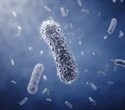 Active mechanical forces drive how bacteria switch swimming direction