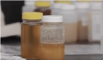 Is it Honey? Using NMR in Food Testing