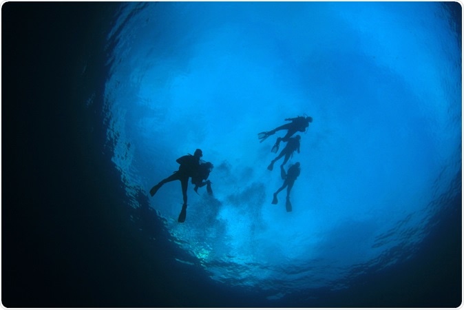 Image Credit: Rich Carey / Shutterstock