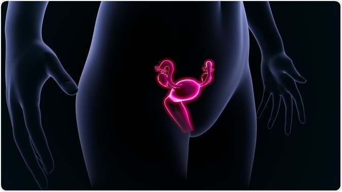 Image Credit Sciencepics / Shutterstock