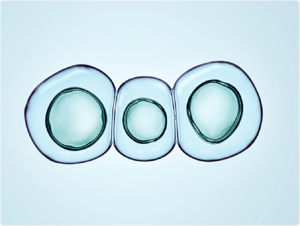 Stem cells - By Nixx Photography