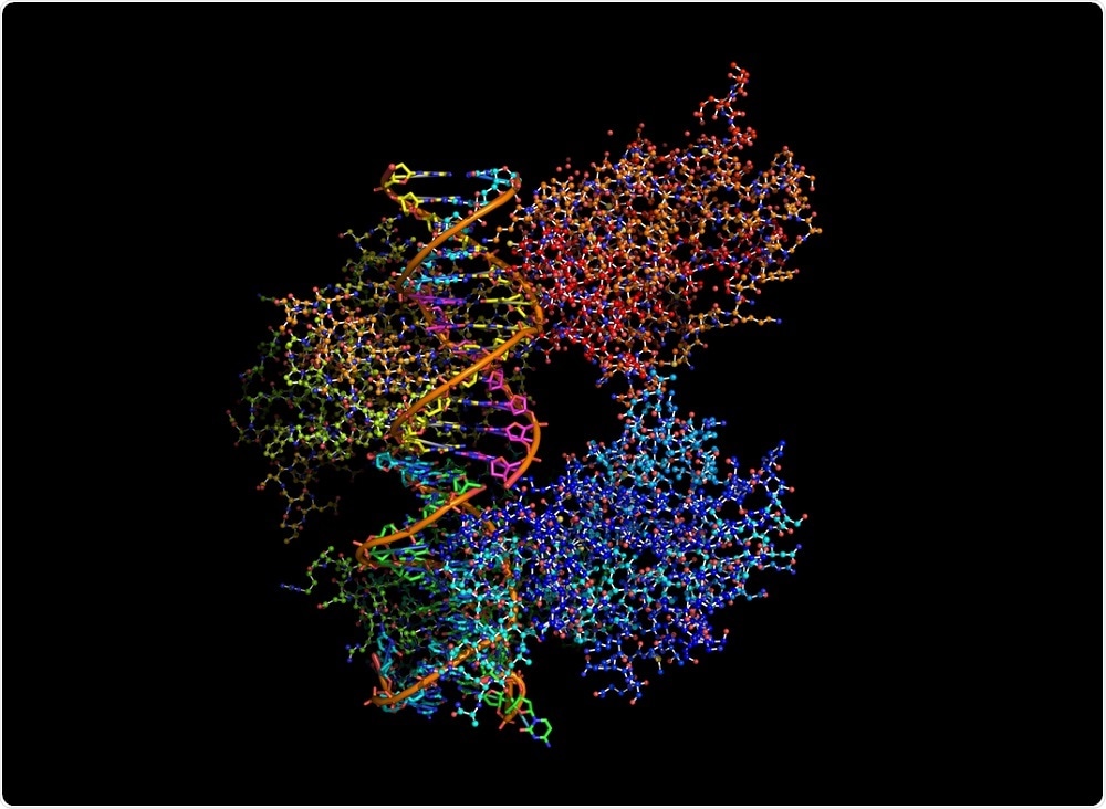 A ball and stick model of molecules of protein p53 binding to a strand of DNA. The majority of human cancers involve mutations which make this protein inactive. - Illustration