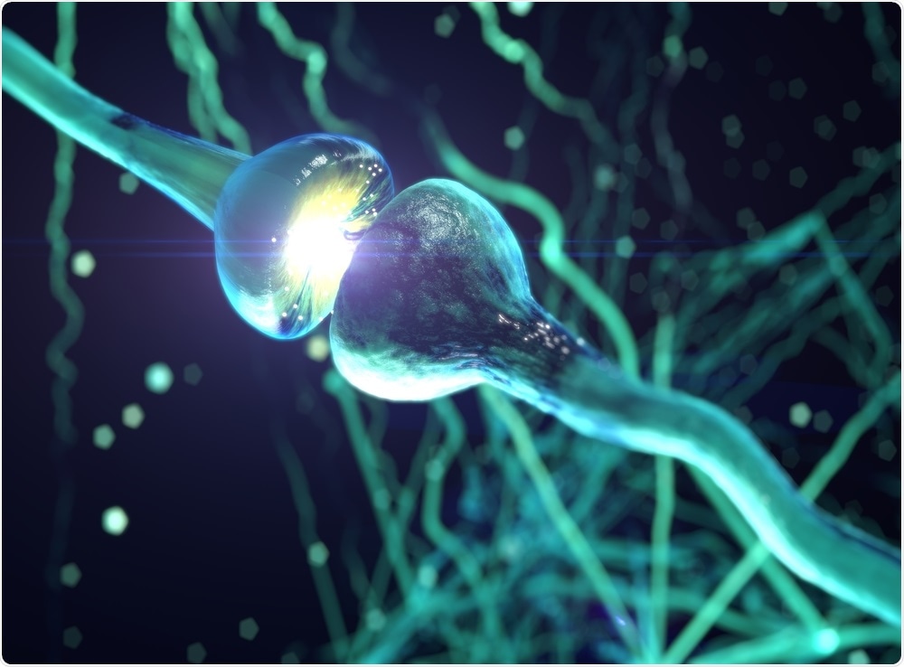 An illustration of neurotransmission between two nerve cells.