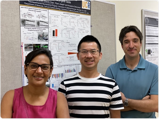 Anupama Dahanukar, David Chen (center), and Ryan Matthew Joseph of UC Riverside. Image Credit: Dahanukar lab, UC Riverside.