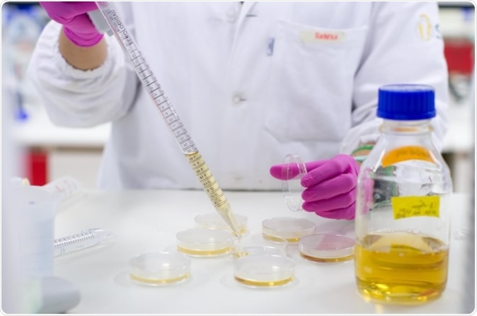 Compound inhibits key enzymes, interrupting the parasite