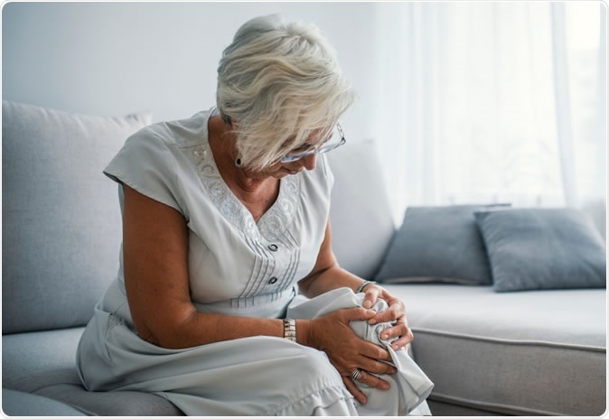 Image Credit: Dragana Gordic / Shutterstock