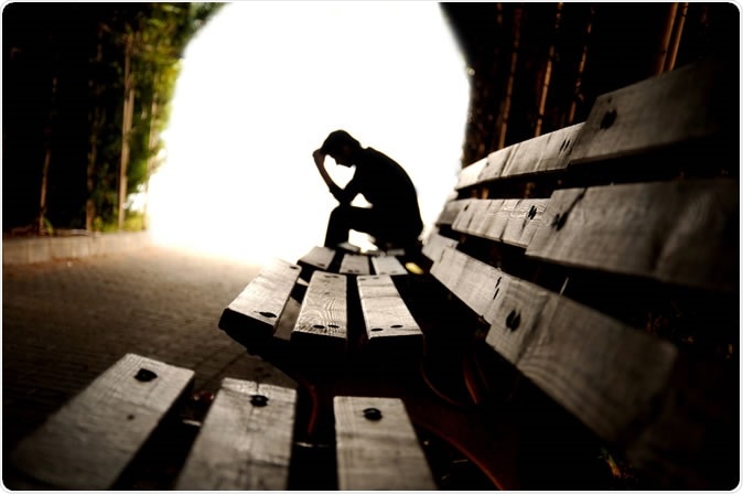 Image Credit: Hikrcn / Shutterstock