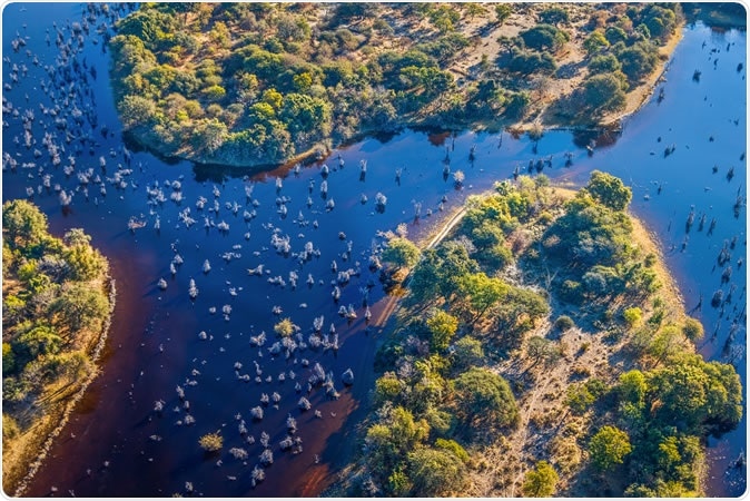 Okavango delta (Okavango Grassland) is one of the Seven Natural Wonders of Africa (view from the airplane) - Botswana, South-Western Africa. - Image Credit: Vadim Petrakov / Shutterstock