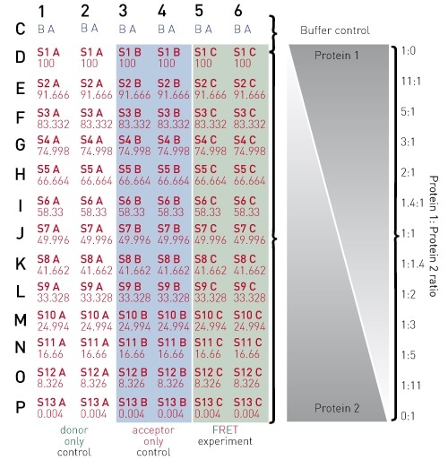 384-well plate preparation layout