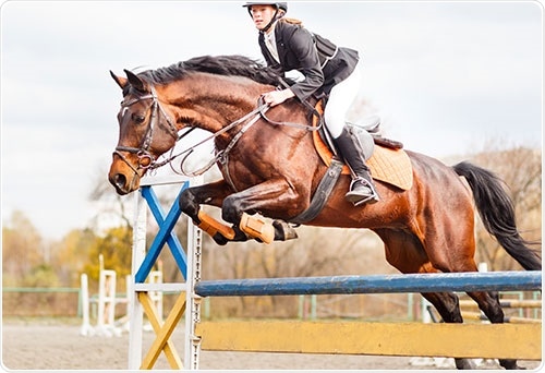 Veterinary Applications of Lactate Testing