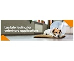 Veterinary Applications of Lactate Testing