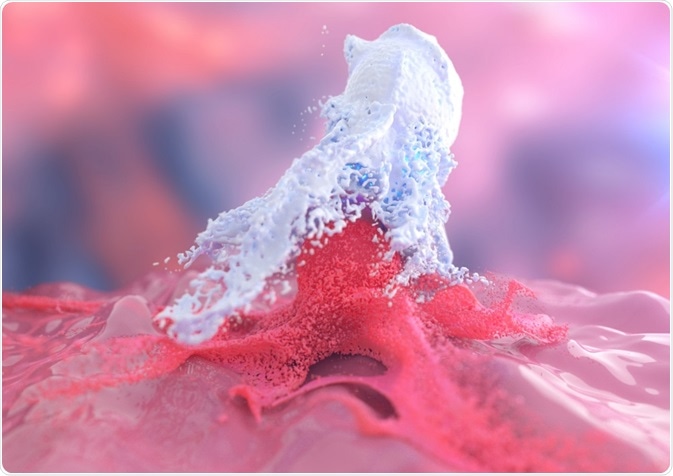 Macrophage covering cancer cell