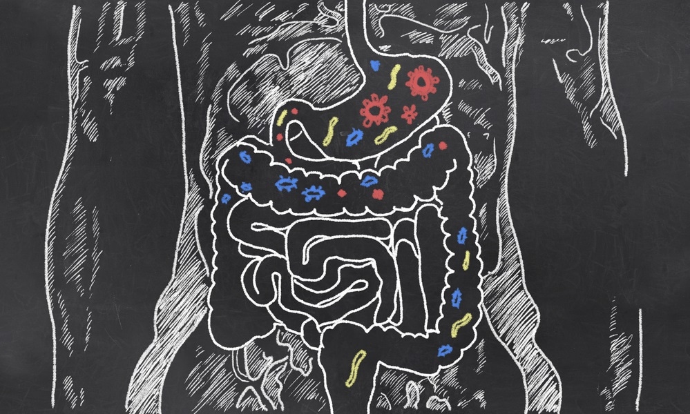 gut bacteria