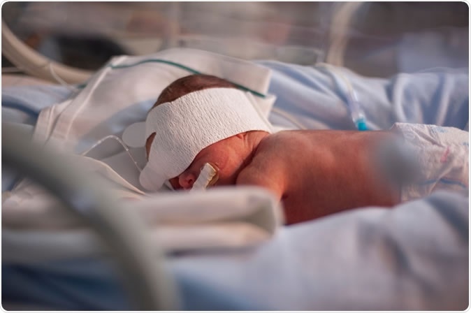 Image Credit: Patricio Murphy / Shutterstock