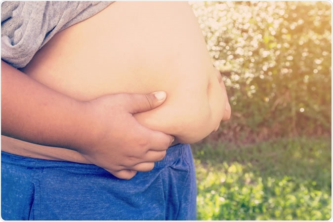 Image Credit: Tortoon / Shutterstock