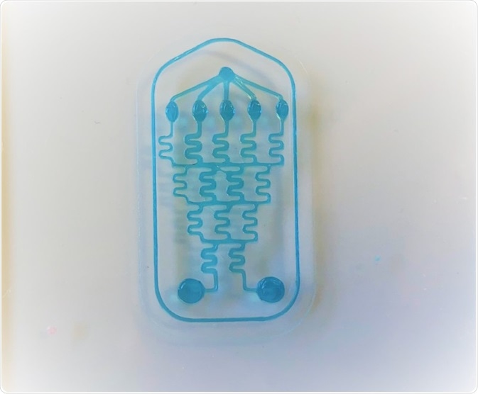 Organ-On-A-Chip Models