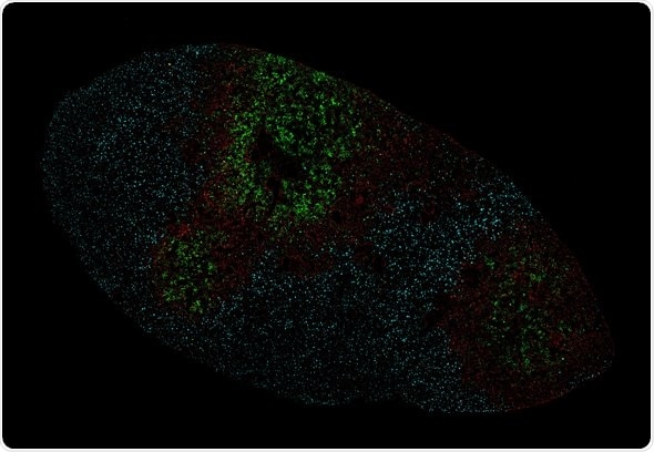 Influenza research could pave way for new and improved drugs, vaccines