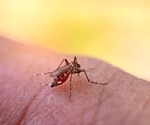 Study reports way to predict dengue transmission globally