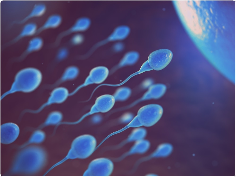 Sperm