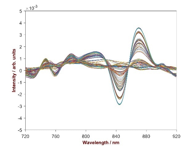 2nd derivative spectra of 132 scutellaria baicalensis powder samples with the Baicalin concentration differing from 11.54–15.40%. Displayed is the wavelength region of 720–920 nm were the correlation between absorbance change and concentration change is obvious.