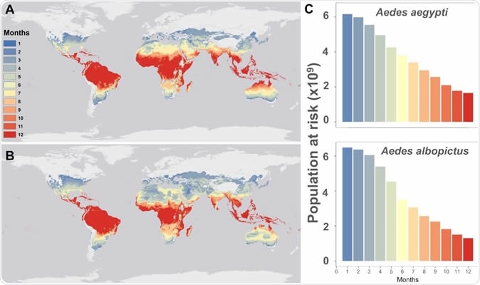 Mapping current temperature suitability for transmission. Maps of current monthly suitability based on mean temperatures using a temperature suitability threshold determined by the posterior probability that scaled R0 > 0 is 97.5% for (a) Aedes aegypti and (b) Ae. albopictus, and (c) the number of people at risk (in billions) as a function of their months of exposure for Ae. aegypti and Ae. albopictus. Mapping current temperature suitability for transmission. Maps of current monthly suitability based on mean temperatures using a temperature suitability threshold determined by the posterior probability that scaled R0 /> 0 is 97.5% for (a) Aedes aegypti and (b) Ae. albopictus, and (c) the number of people at risk (in billions) as a function of their months of exposure for Ae. aegypti and Ae. albopictus.