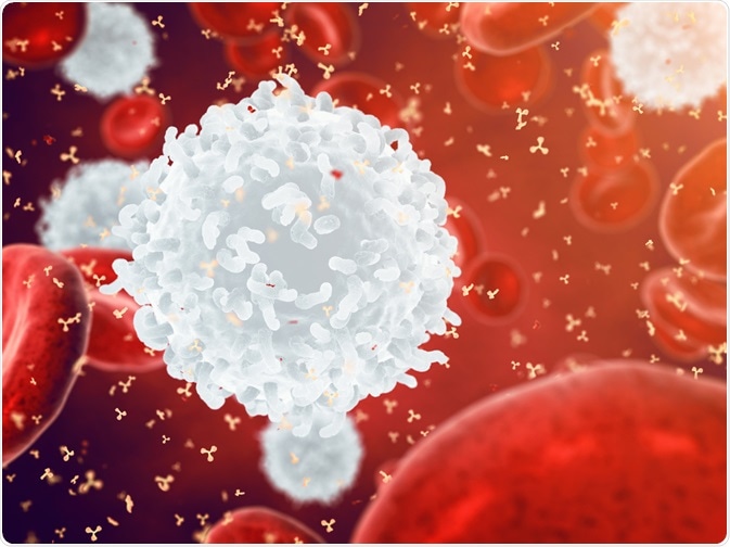 Release of antibodies