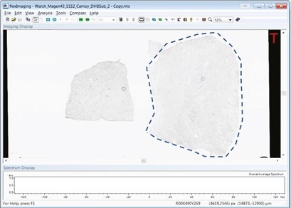 Complete Software Toolkit