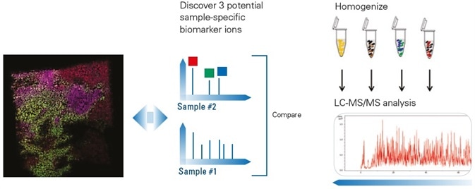 Locate Three Potential Biomarkers and Correlate with Pathology