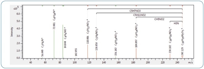 An example MS/MS spectrum of gamma-glutamyl valine in SmartFormula 3D, highlighting characteristic fragments corresponding to the losses of NH3 and CH5NO2. These are indicators for gamma-glutamyl dipeptides rather than alpha-glutamyl dipeptides.