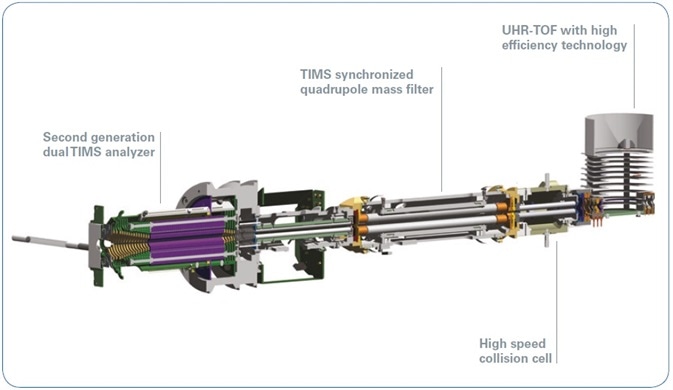 Ion optics of the timsTOF Pro instrument including a dual TIMS analyzer and QTOF mass spectrometer.