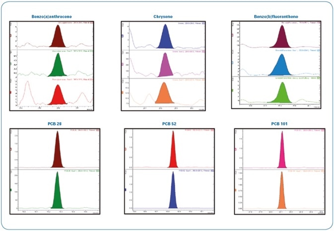 Analysis of a hard clam extract spiked at 0.8 µg/kg with PAHs/PCBs and diluted two-fold (400 femtogram on-column). Each time window shows the MRM transitions used for each compound.