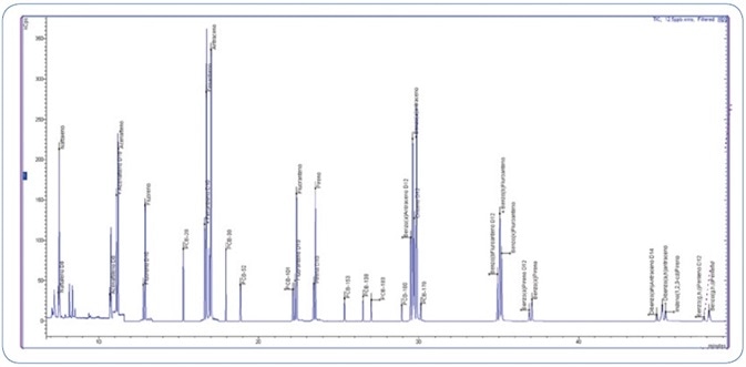 Total Ion Chromatogram (TIC) of 12.5 ppb standard mix (PAHs and PCBs).