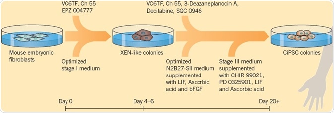 The modified protocol by Zhao et al. (2018), used to generate ciPSCs.