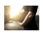 Air pollutants may damage fetal cardiovascular development