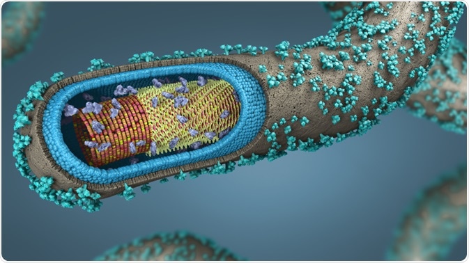 Host cell proteins are native proteins within host cells that are being used to produce recombinant proteins.