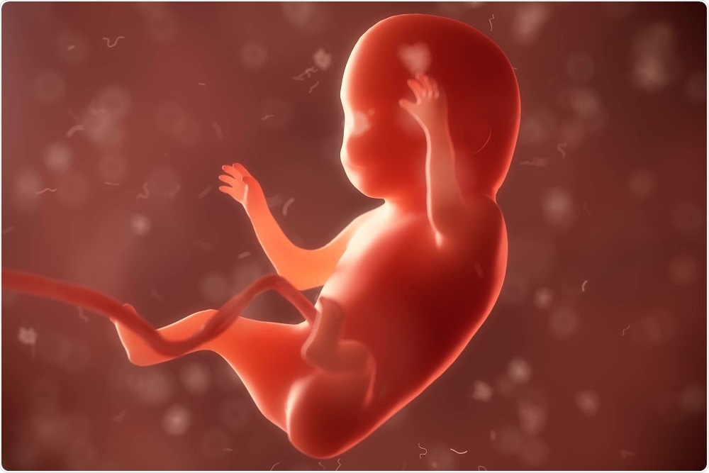 World-leading medical ethicist Professor Arthur Caplan has published a series of recommendations on gene editing, following He Jiankui