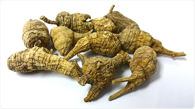 American ginseng (Panax quinquefolius) grows in rich woods through most of the eastern United States, including the mountains and upper Piedmont of North Carolina.