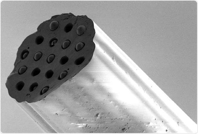 The hair-sized probe can measure key indicators of tissue damage deep in the lung. Image Credit: Michael Tanner, Herriot-Watt University and the University of Edinburgh.