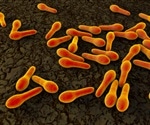 Doctors identify patients at high risk of Clostridium difficile