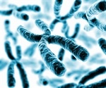 Common Chromosomal Disorders (Chromosomes 1-5 and X and Y)