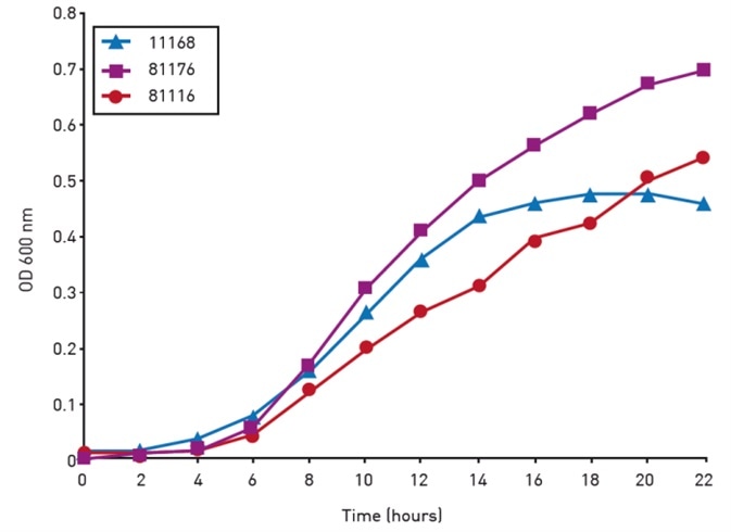 Growth of Campylobacter isolates over a 24 hour period in the FLUOstar® Omega.