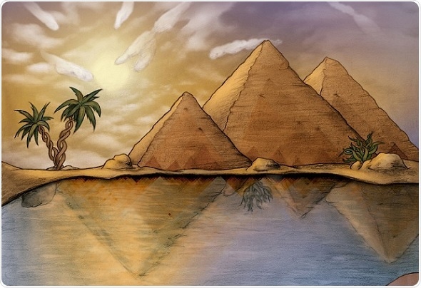 EMBL study reveals uncoupling between chromatin topology and gene expression