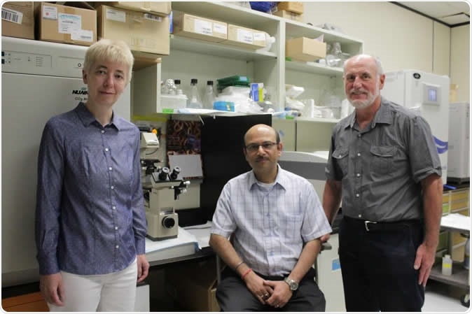 (From left) Researchers Barbara Knoblach, Hiren Banerjee and Rick Rachubinski are now using their discovery to identify new, less toxic drugs to treat neglected tropical diseases that affect millions in Africa and South America. Image Credit: Ryan O