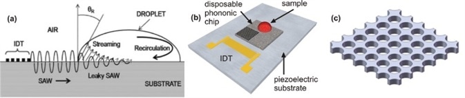 (a) SAW propagating on a piezoelectric substrate transferring mechanical energy into a liquid sample; (b) an alternative format where a phononic bandgap structure is patterned onto a disposable superstrate, which is placed on the piezoelectric substrate; (c) Example schematic of a phononic lattice (holes of 80 μm in diameter).