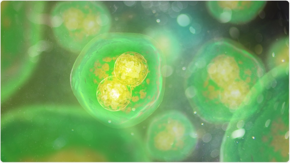 Stem cells dividing - abstract image