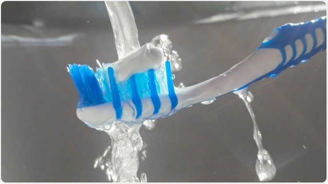 Image Credit: Caruso Christian / Shutterstock