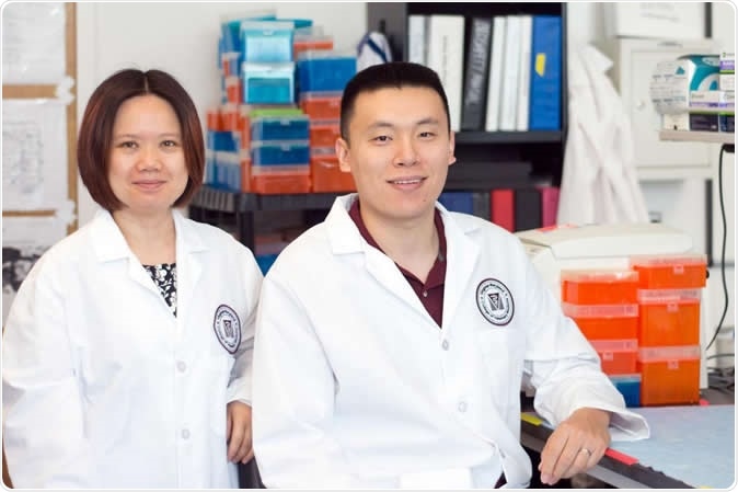 Lead authors Xin M. Luo, associate professor of immunology in the Department of Biomedical Sciences and Pathobiology, and Qinghui Mu, formerly a postdoctoral fellow in the department. Photo by Emily Koth. Image Credit: Virginia Tech